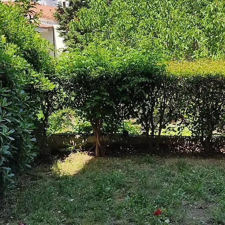 Moris Luxury 2 شقة