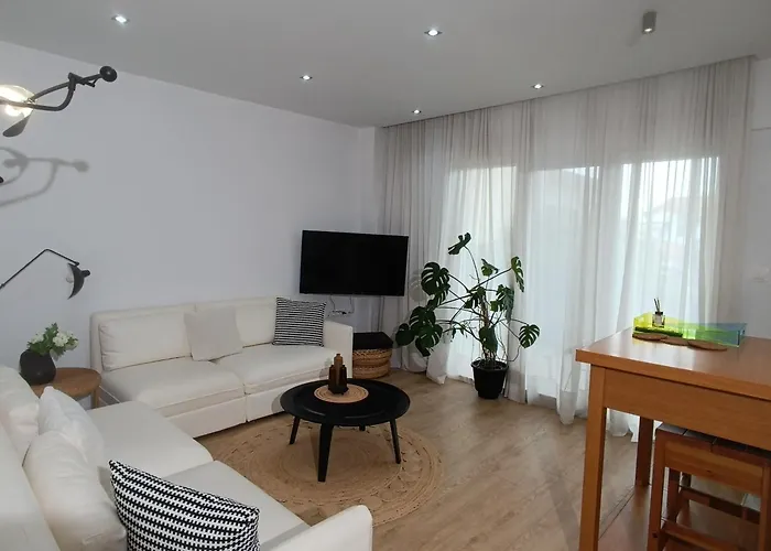 Pilea Luxury 2