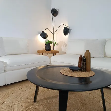 Pilea Luxury 2