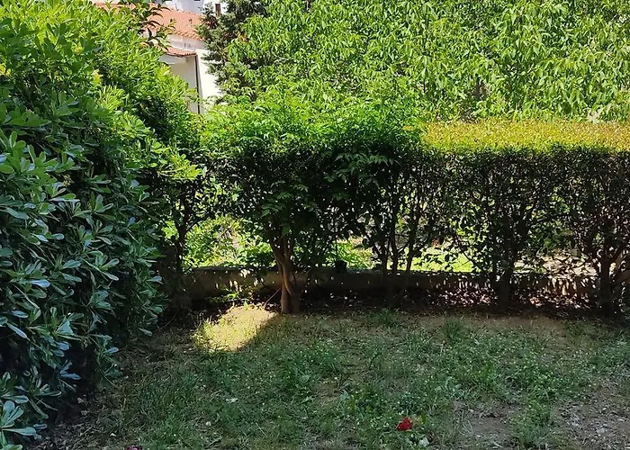 Moris Luxury 2 Apartamento